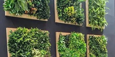 Pieces of artificial wall turf resembling various green plant growth adorn an office wall.