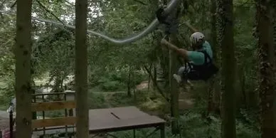 A rollglider zips down a forested track.